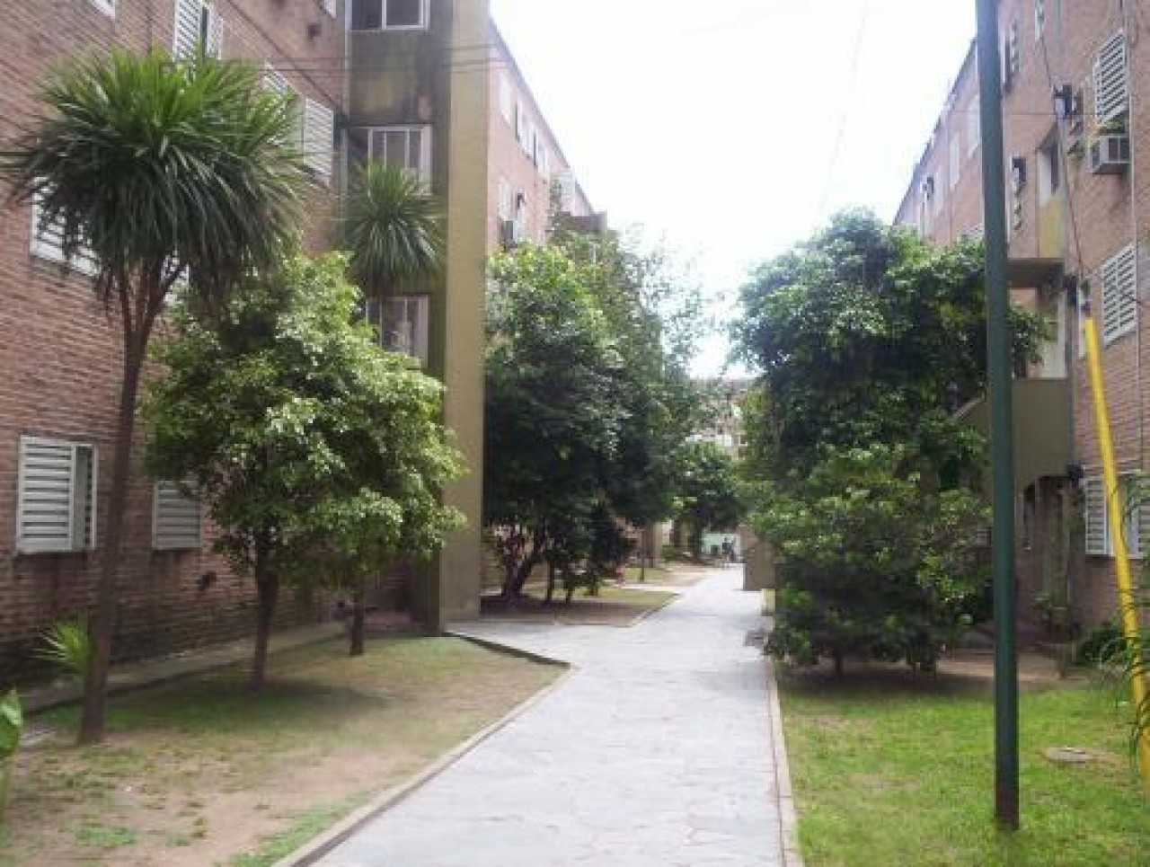 Departamento en San Miguel (Cod 987)