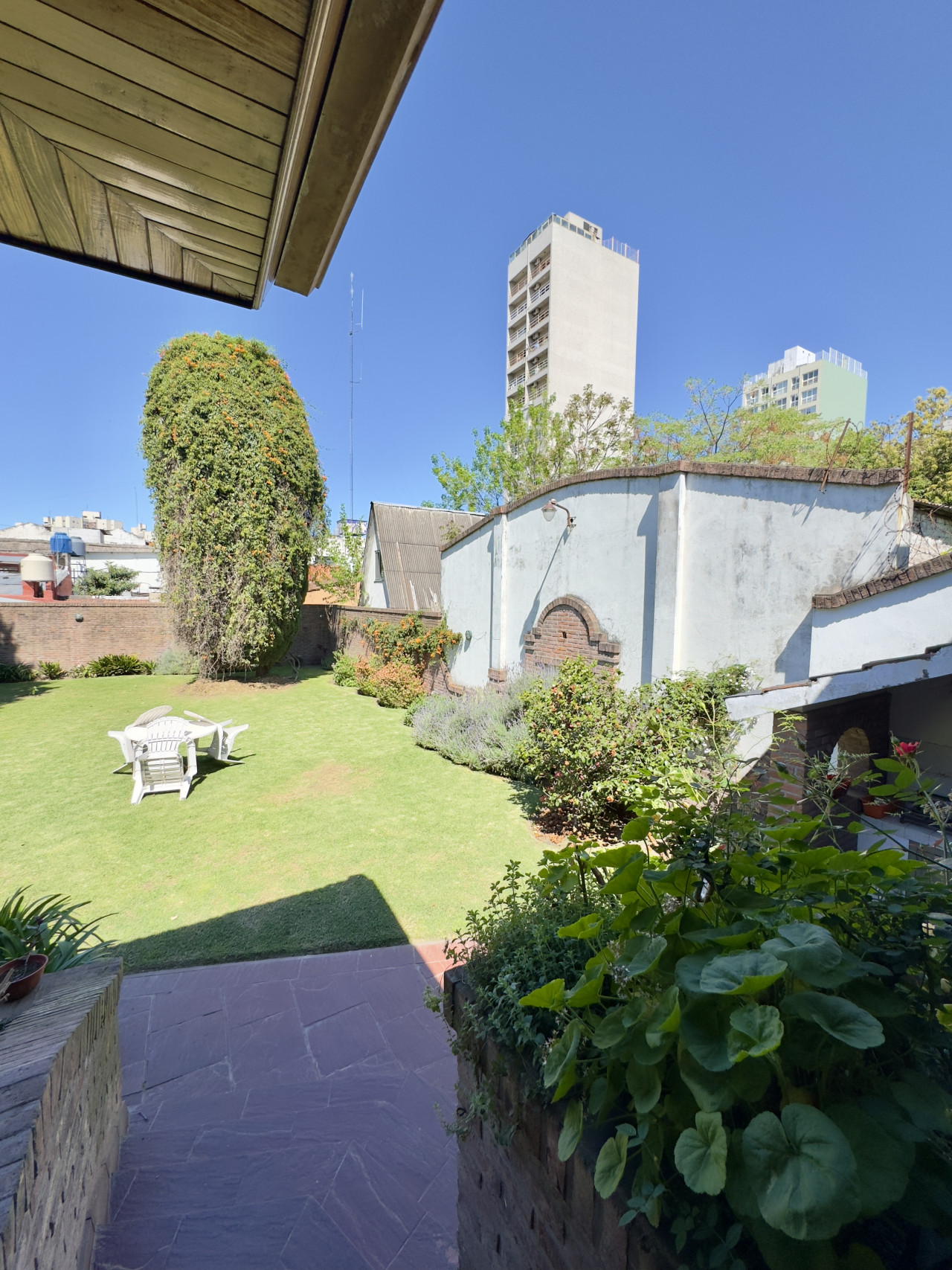 jardin trasero