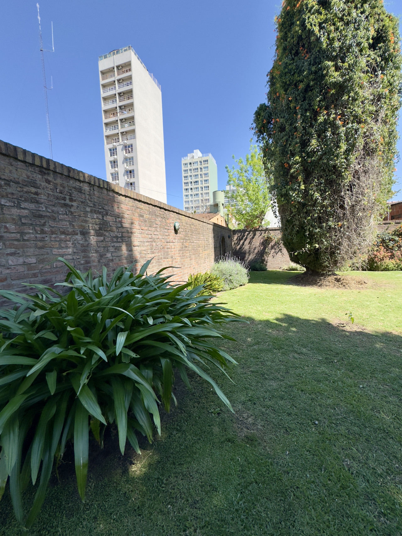 jardin