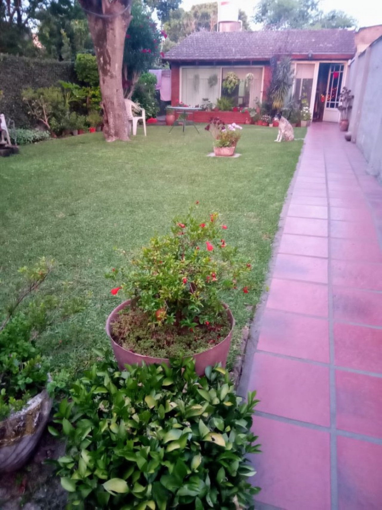 CASA EN PH EN VENTA EN BELLA VISTA