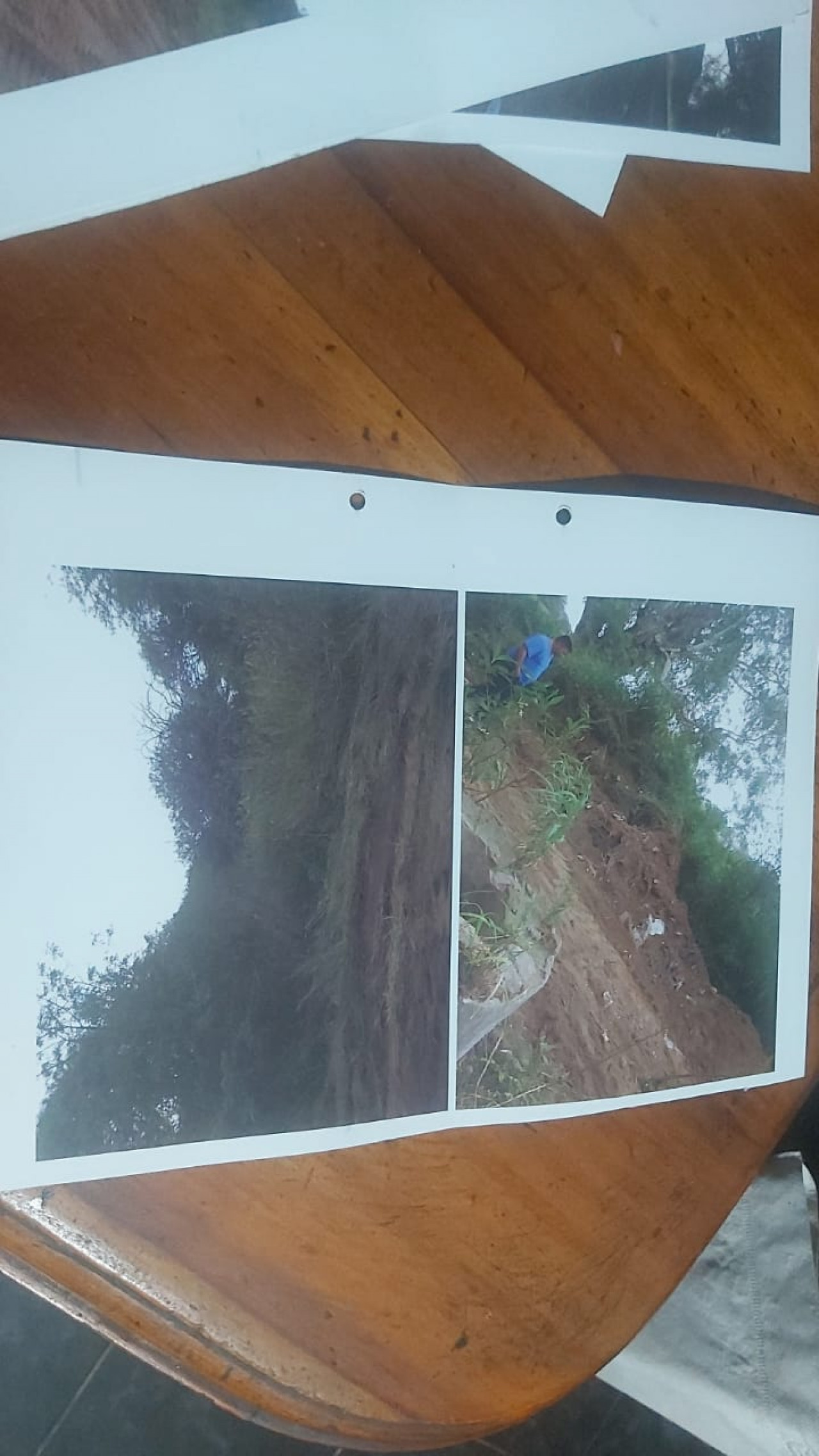 VENDO HECTAREAS SAN JAVIER!!