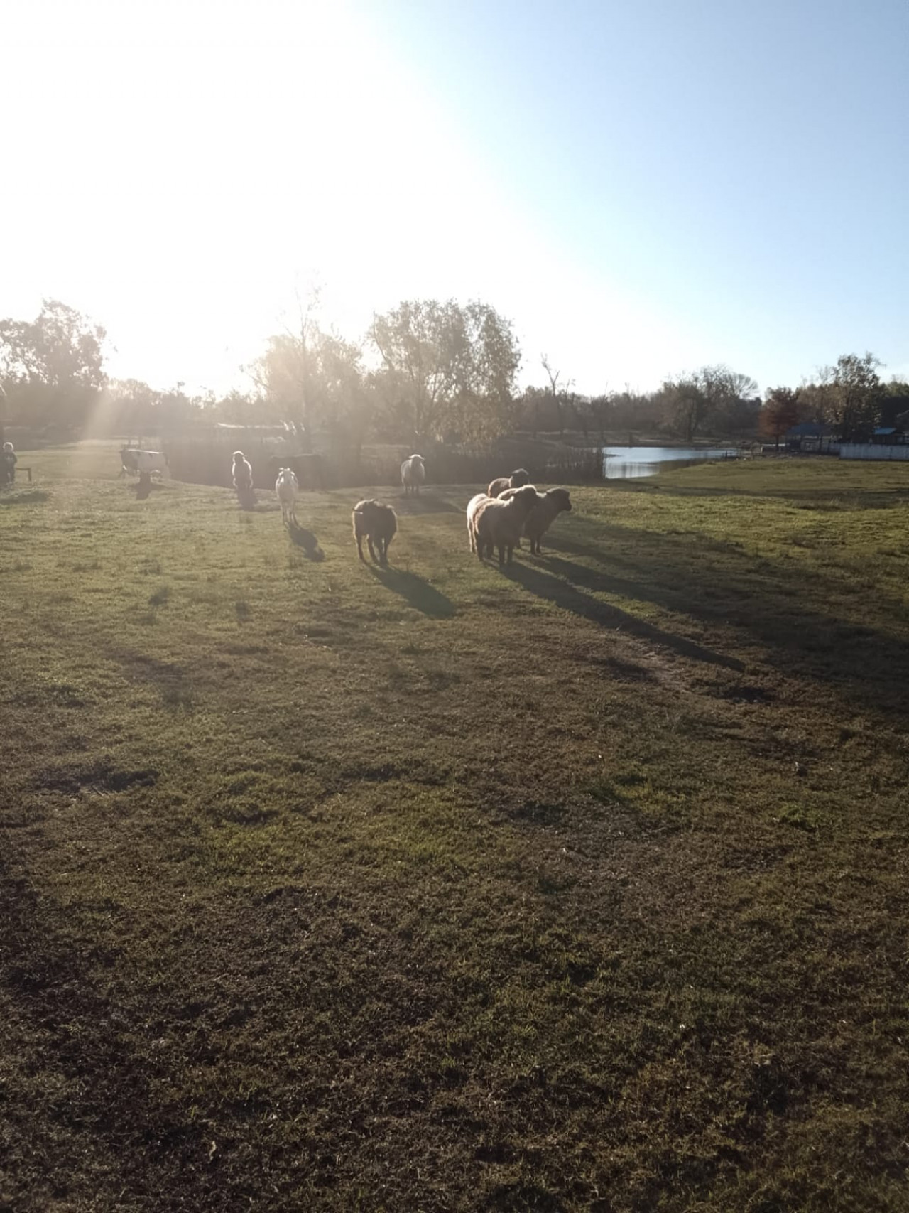 hectareas en venta en El Cazador frente a Puertos